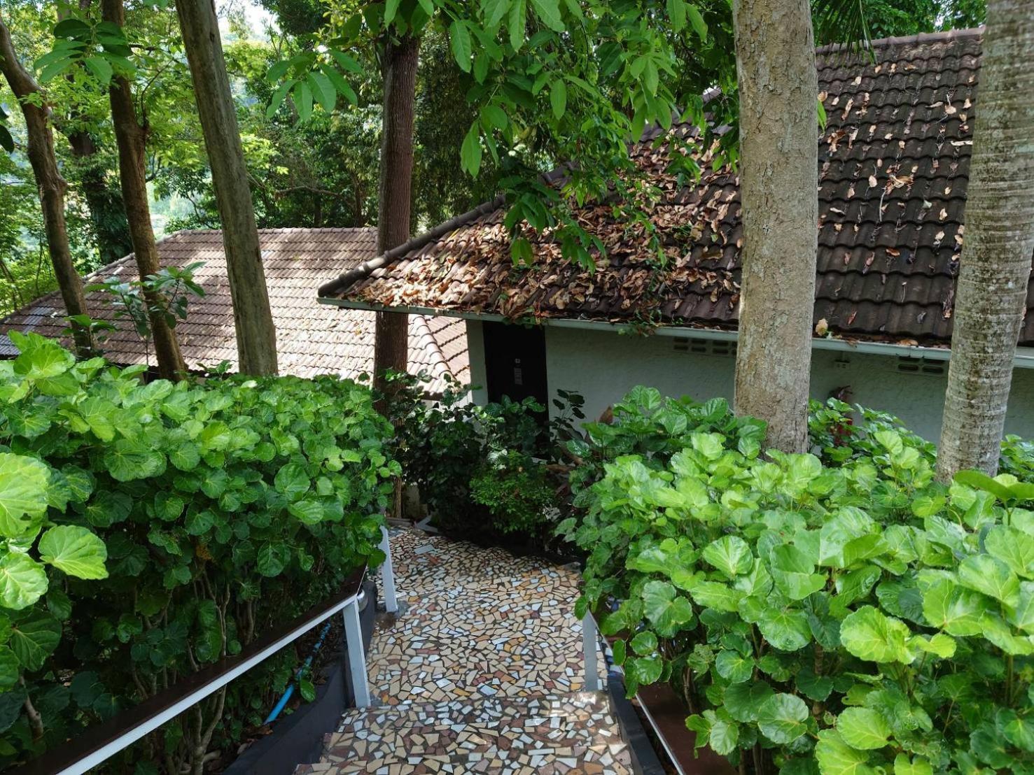 On The Hill Karon Resort Exterior foto