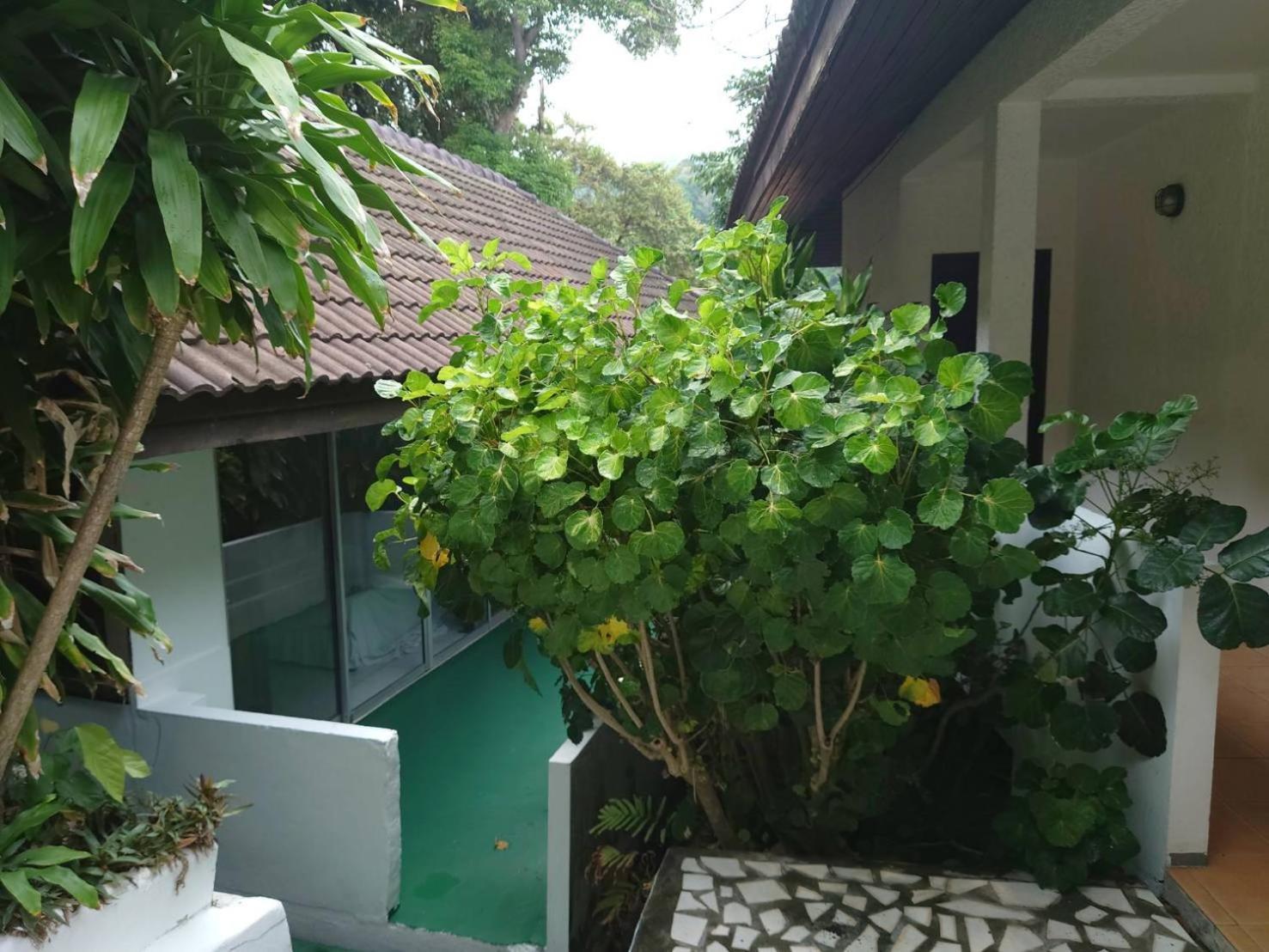 On The Hill Karon Resort Exterior foto